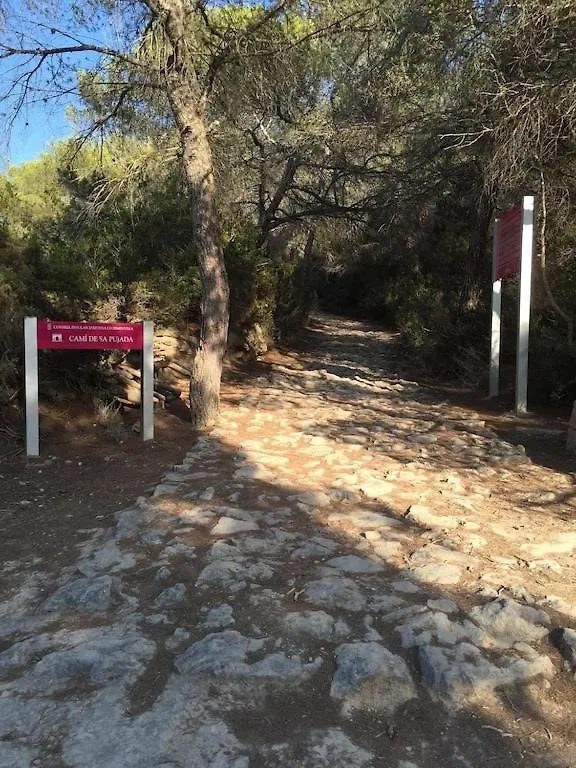 Appartamento La Mundial Formentera Es Pujols
